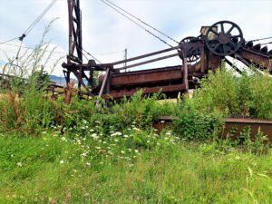 virginia city dredger with flowers
